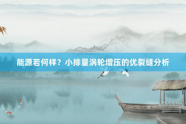 能源若何样？小排量涡轮增压的优裂缝分析